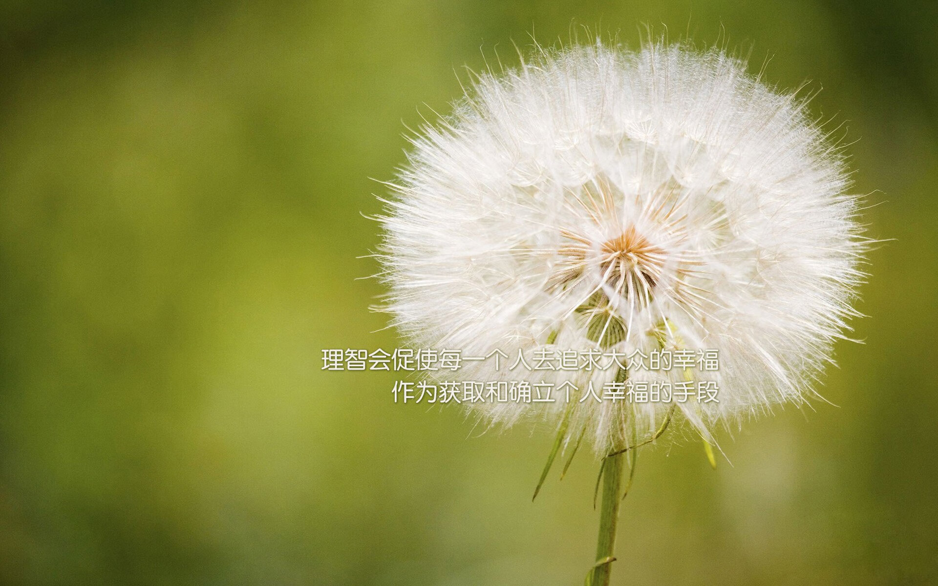 开云网页版登录入口-_传统武术表演结合现代比赛，展现文化魅力_，传统武术比武