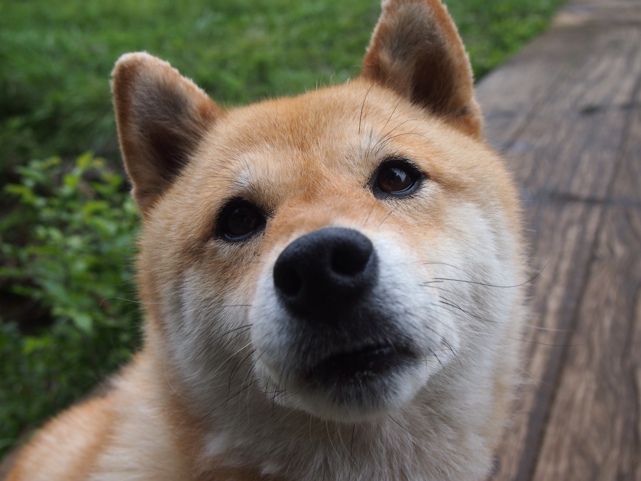 开云首页登录-_湖人队展现拼搏精神，实现反弹_，湖人队训练视频2020