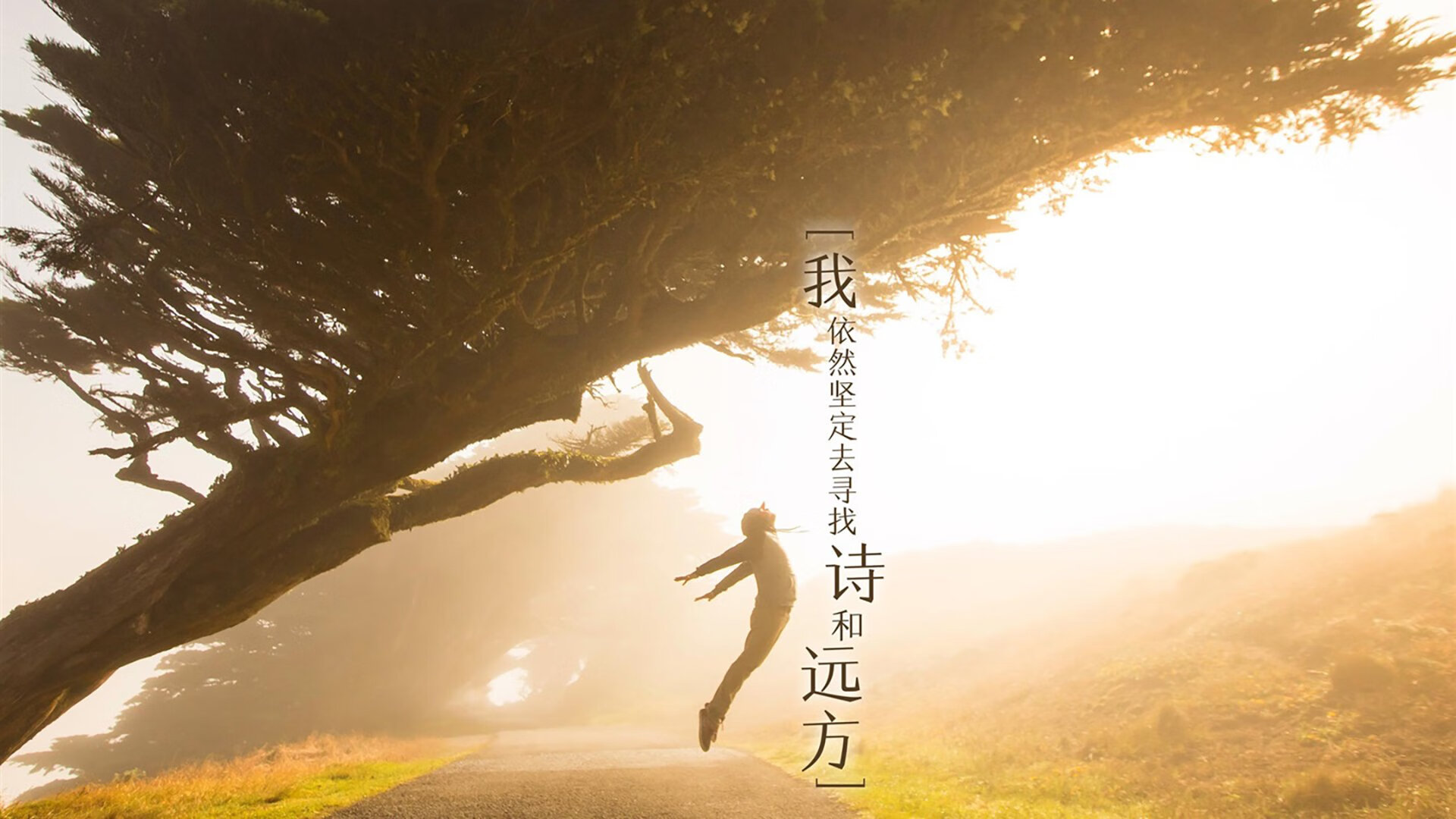 开云体育官方网入口-“新纪录的诞生，打破历史，写下属于这个时代的辉煌”，新纪录的意思