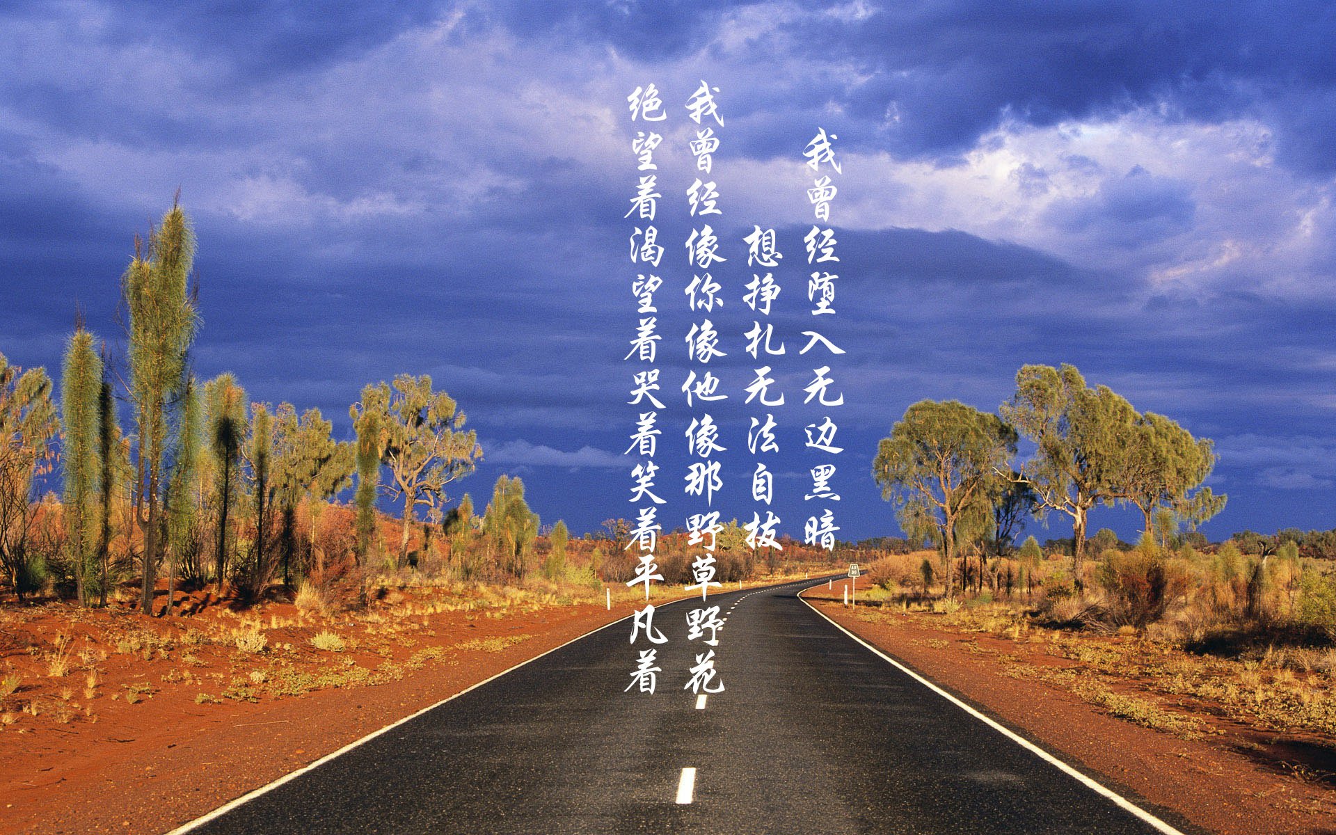 开云官方网页登录-“西甲强队迎来关键比赛，争夺晋级积分”，西甲参赛队伍