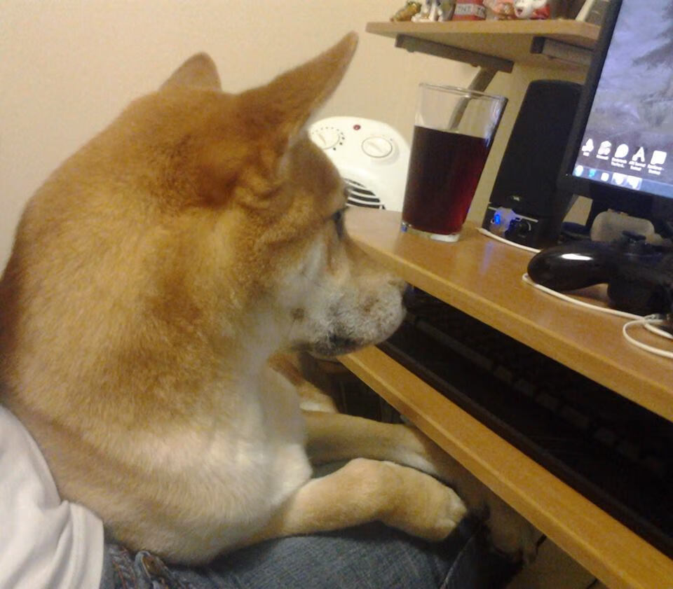 KAIYUN 中国大陆-“逆天投篮！杜兰特绝命三分的背后战术分析”，杜兰特绝命三分 g3