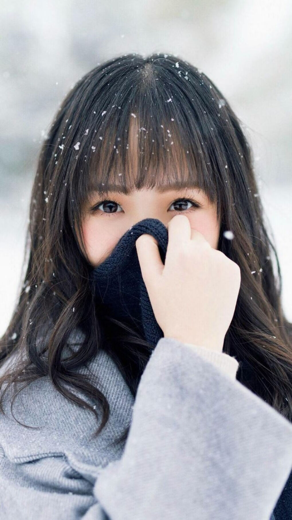 《Dota2全球 invitational,T1战队精彩表现夺金》,dota2 ti1冠军