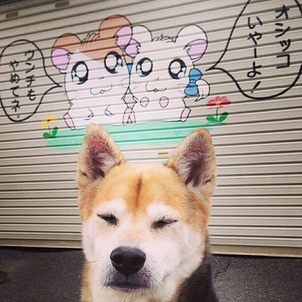 kaiyun官方入口登录-紧张刺激：王强最后一秒三分绝杀，场内欢呼！，王强最后9小时