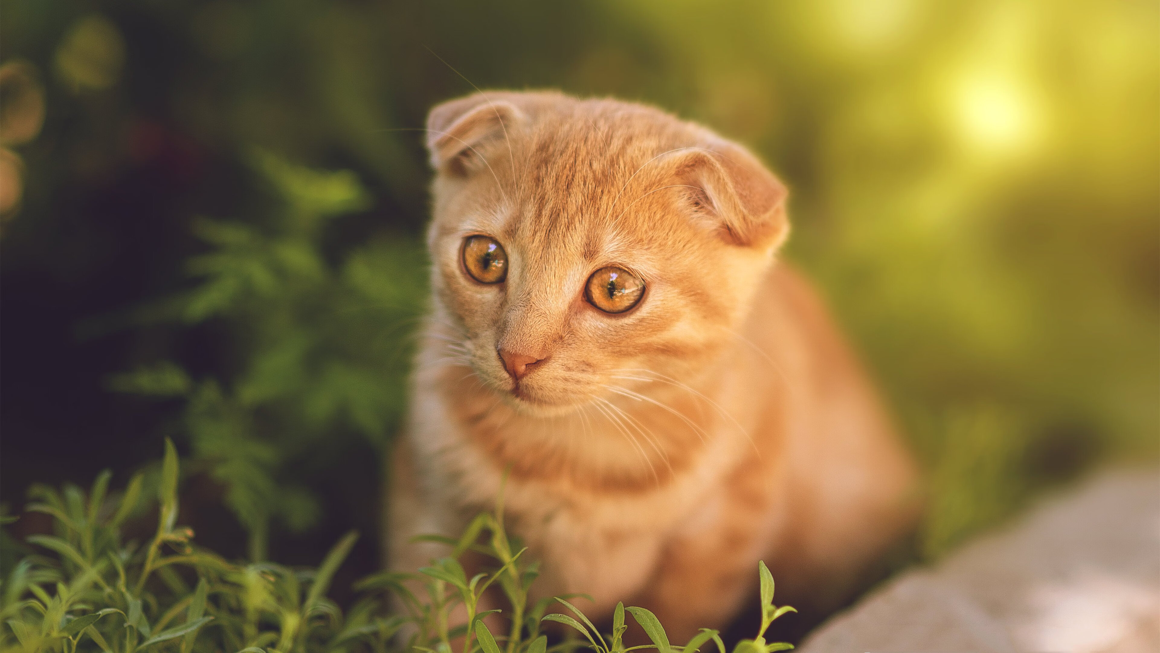 开云-瑞士队在比赛场上展现出出色的防守表现，瑞士队的打法