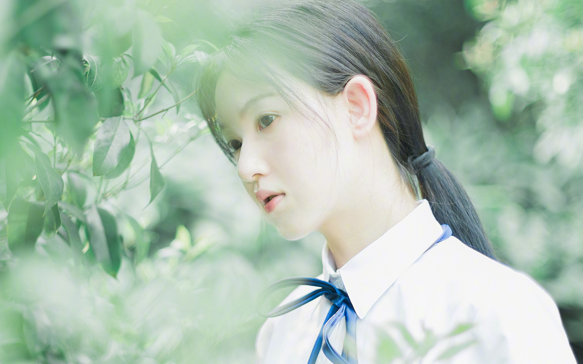 开云全站-美洲青年篮球发展计划启动，美洲青年锦标赛足球