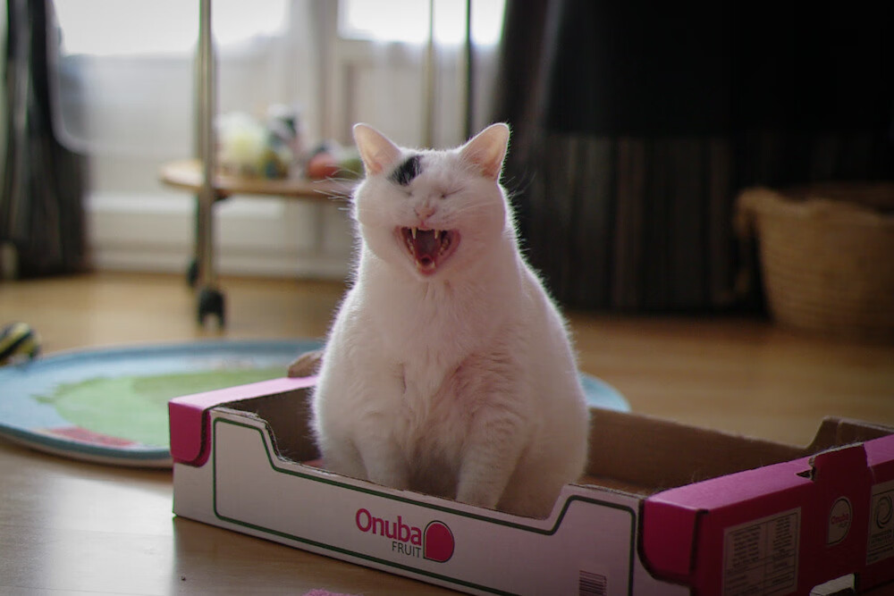 Kaiyun官方登录入口-中国足球俱乐部引导退役球员参与基层培训，中国足球退役球星