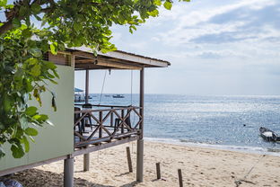 开云中国大陆-绿色场馆覆盖智能环保系统，推动全球体育绿色低碳行动，绿色场馆建设