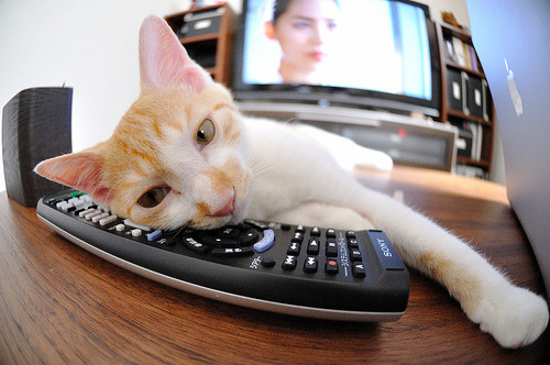 开云下载-黎巴嫩男篮在西亚锦标赛中夺冠，体育发展迅速